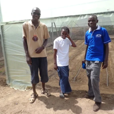 Greenhouse Project